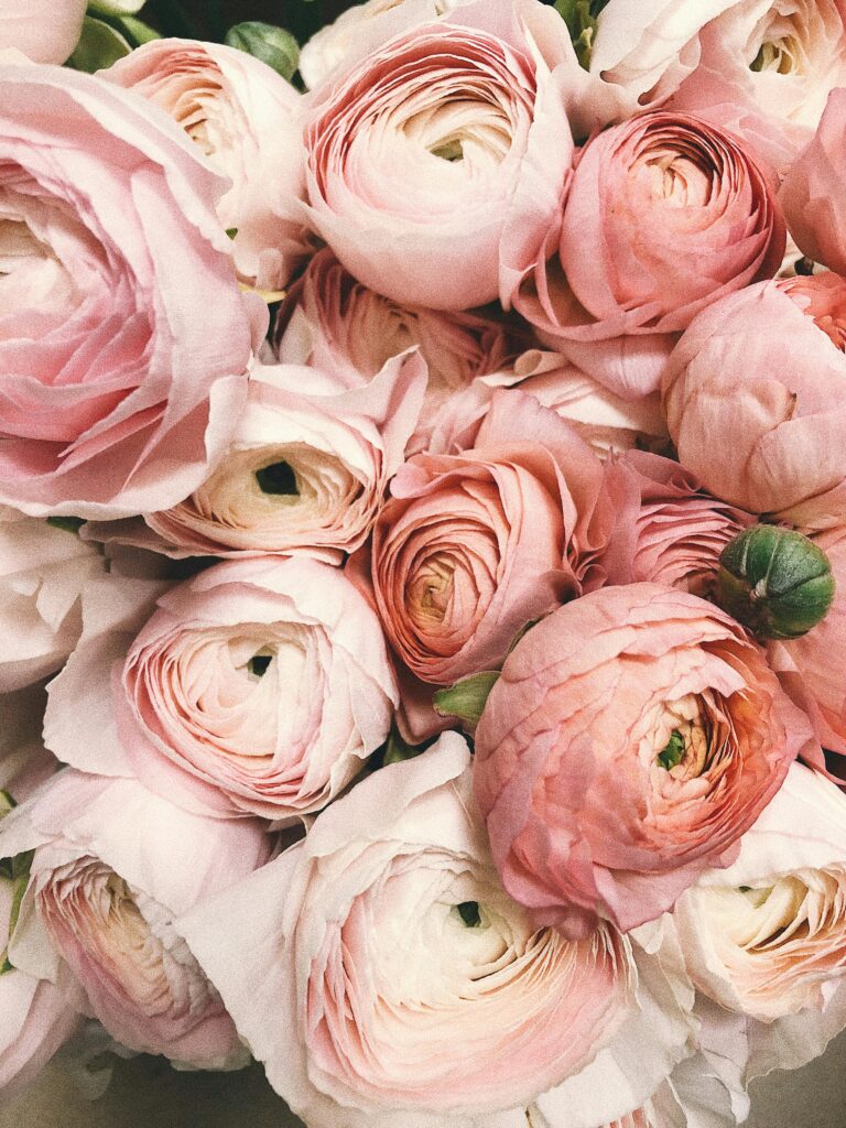 An image of a bouquet of pink flowers.