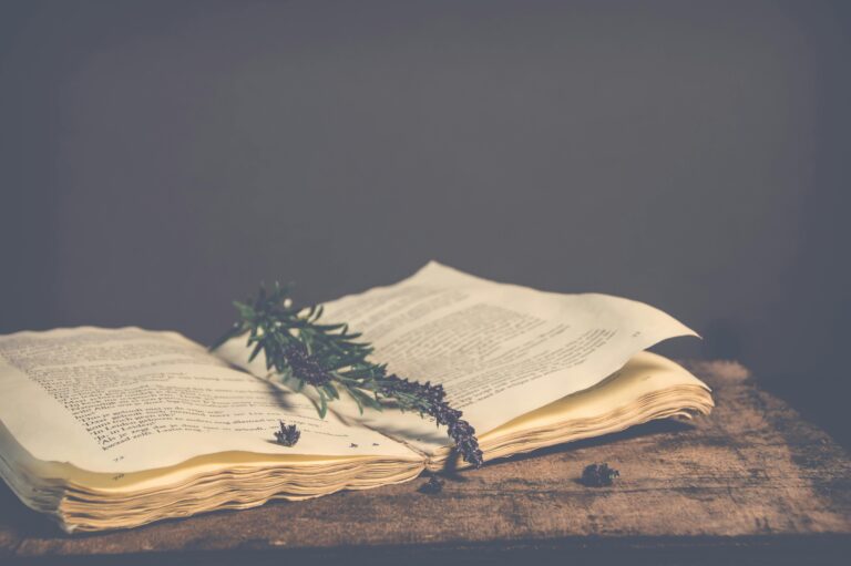 Everything Up, Starts Down: Book of Ecclesiastes