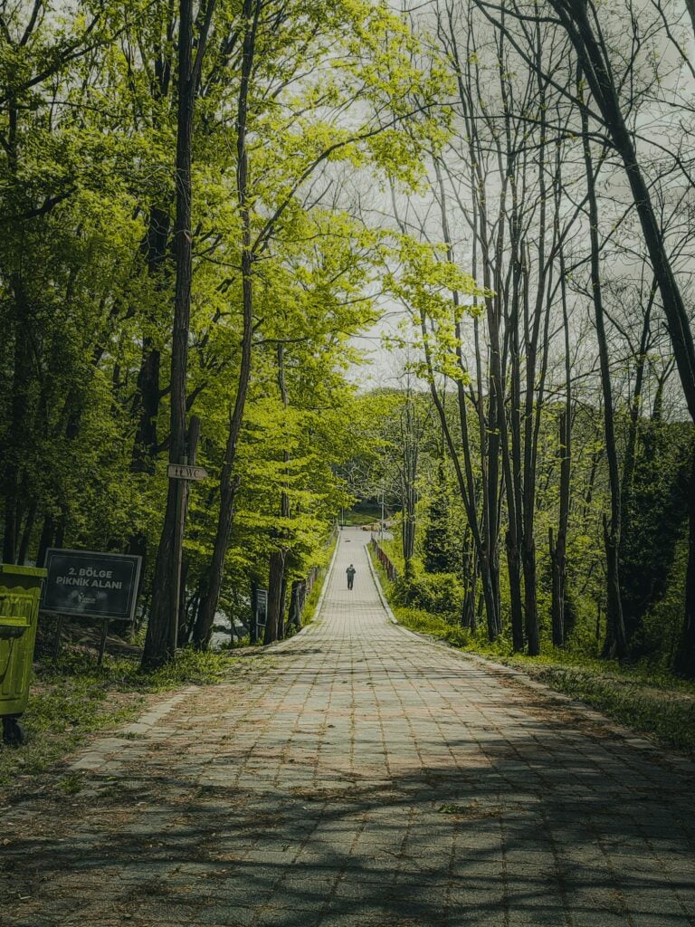 Someone walking down a long narrow path with greenery.