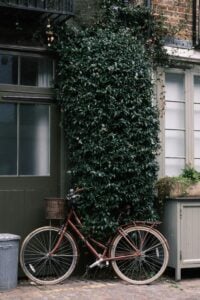 Image of a bike against a building outside with greenery.