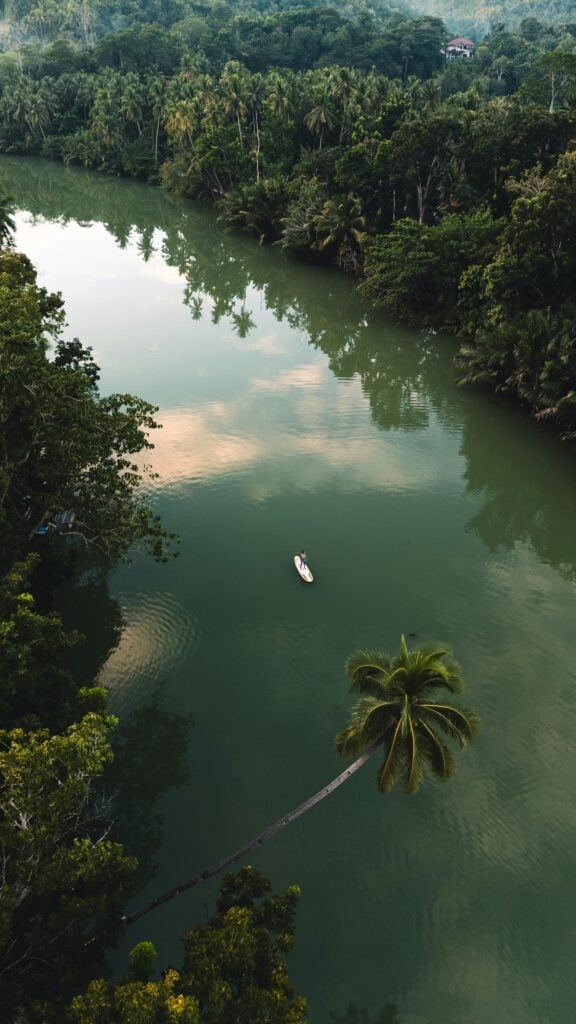Image of a river with trees.