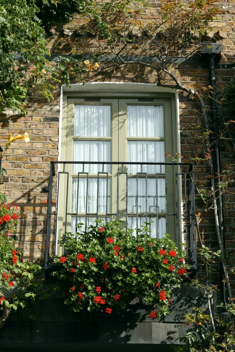 Window of a house with a balcony with greenery and flowers.