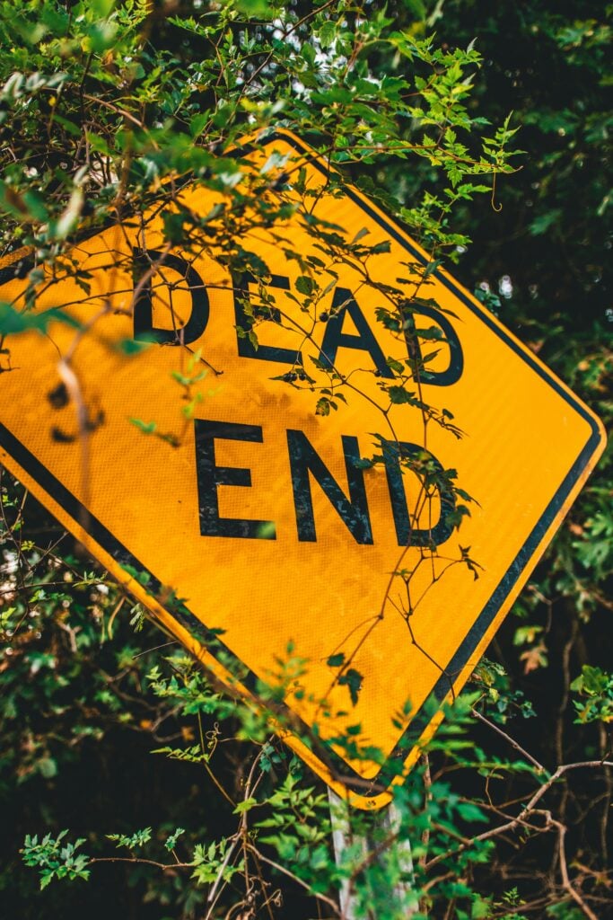 A dead end sign in bushes.