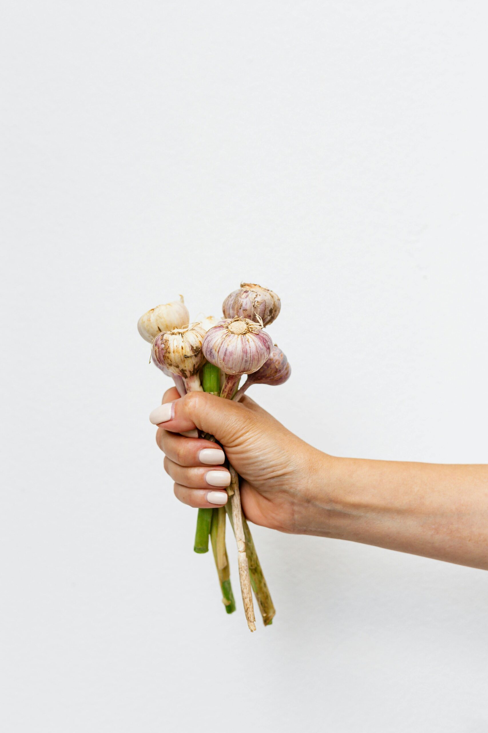 A woman's hand holding garlic by the stem.
