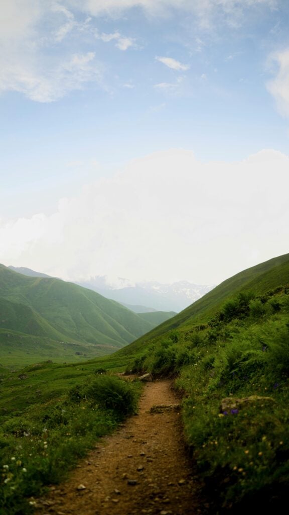 A narrow path with greenery.
