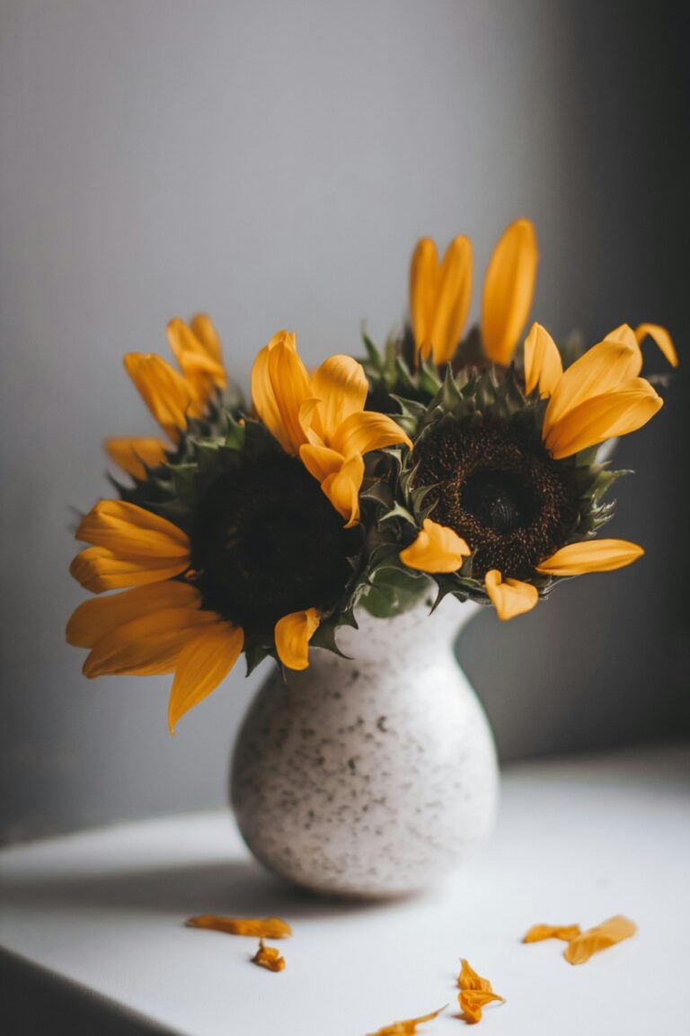 Sunflowers in a vase on a table with petals falling.