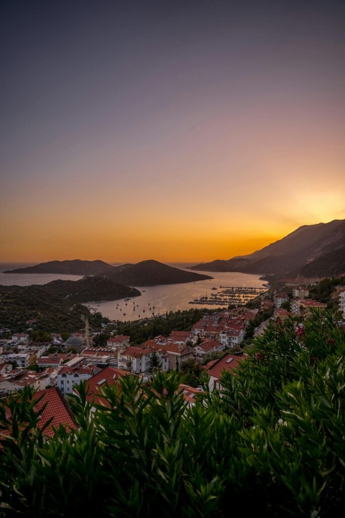 An overview of a horizon with greenery and housetops.
