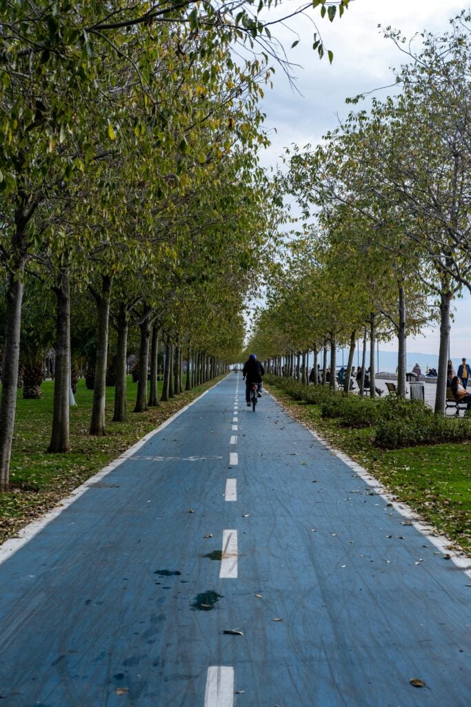 Someone bike riding down a tree lined road.