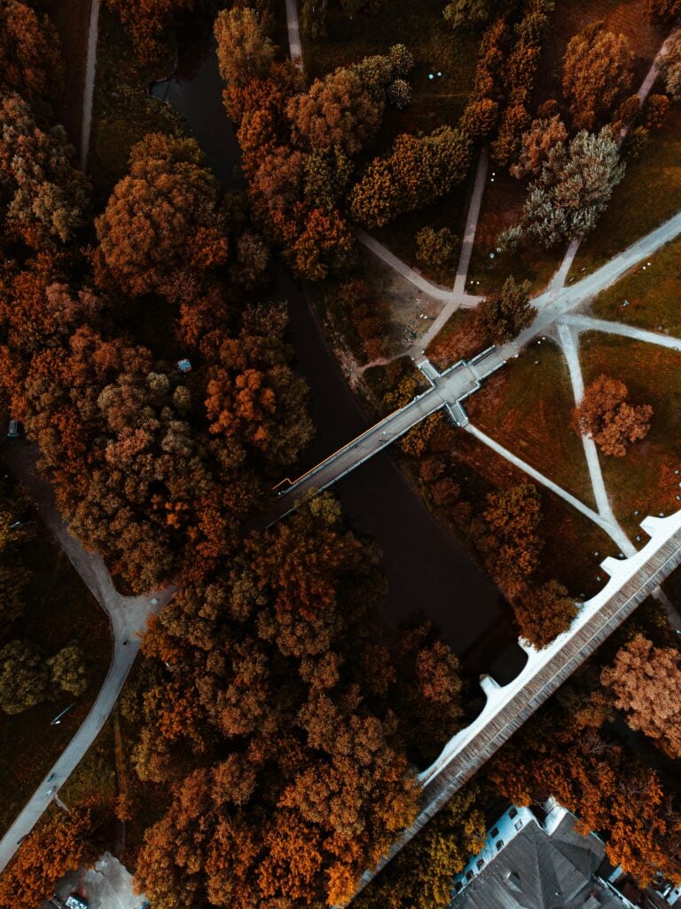 An overview shot of roads and pathways with brown leaved trees.