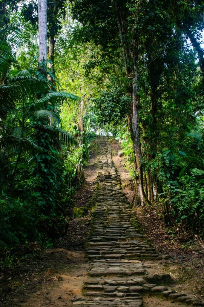 A narrow path in a forrest.