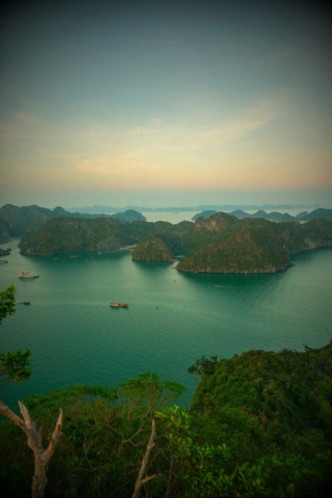 An ocean view with greenery.