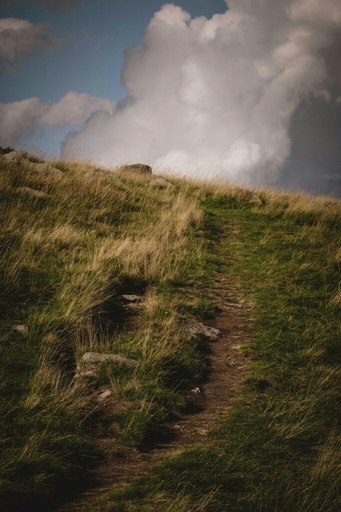 A narrow path with patches of grass.
